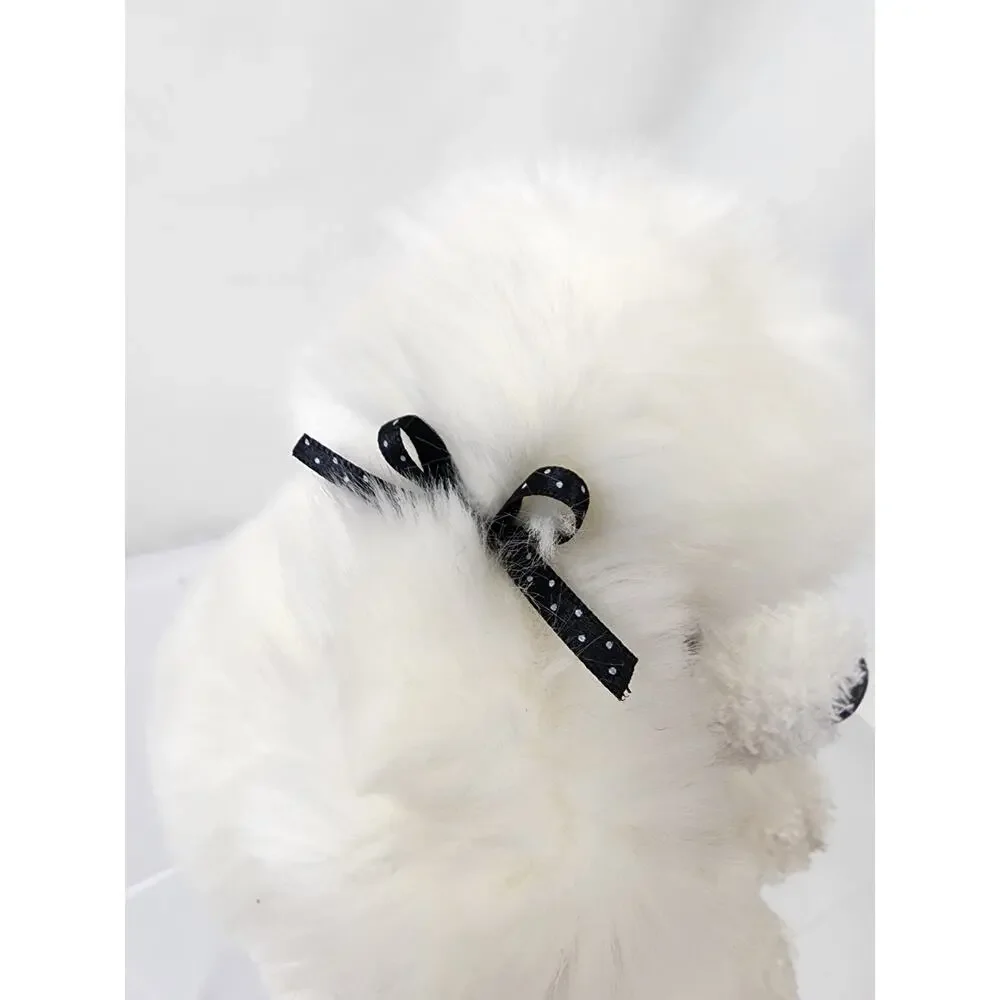 White French Poodle Dog 9